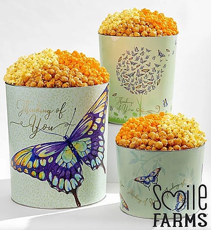 Butterfly Wishes Popcorn Tins